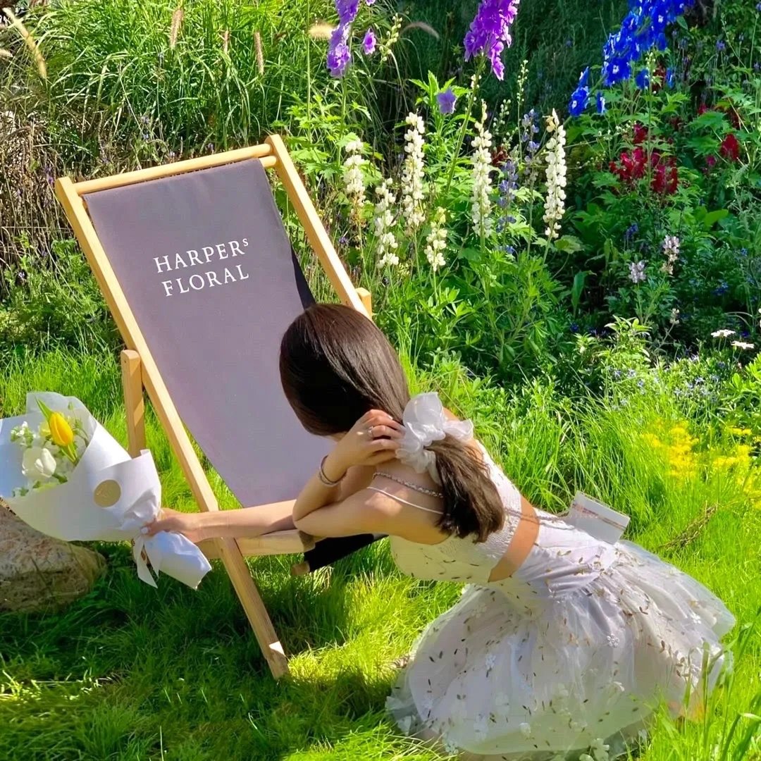 当生命遇上生命